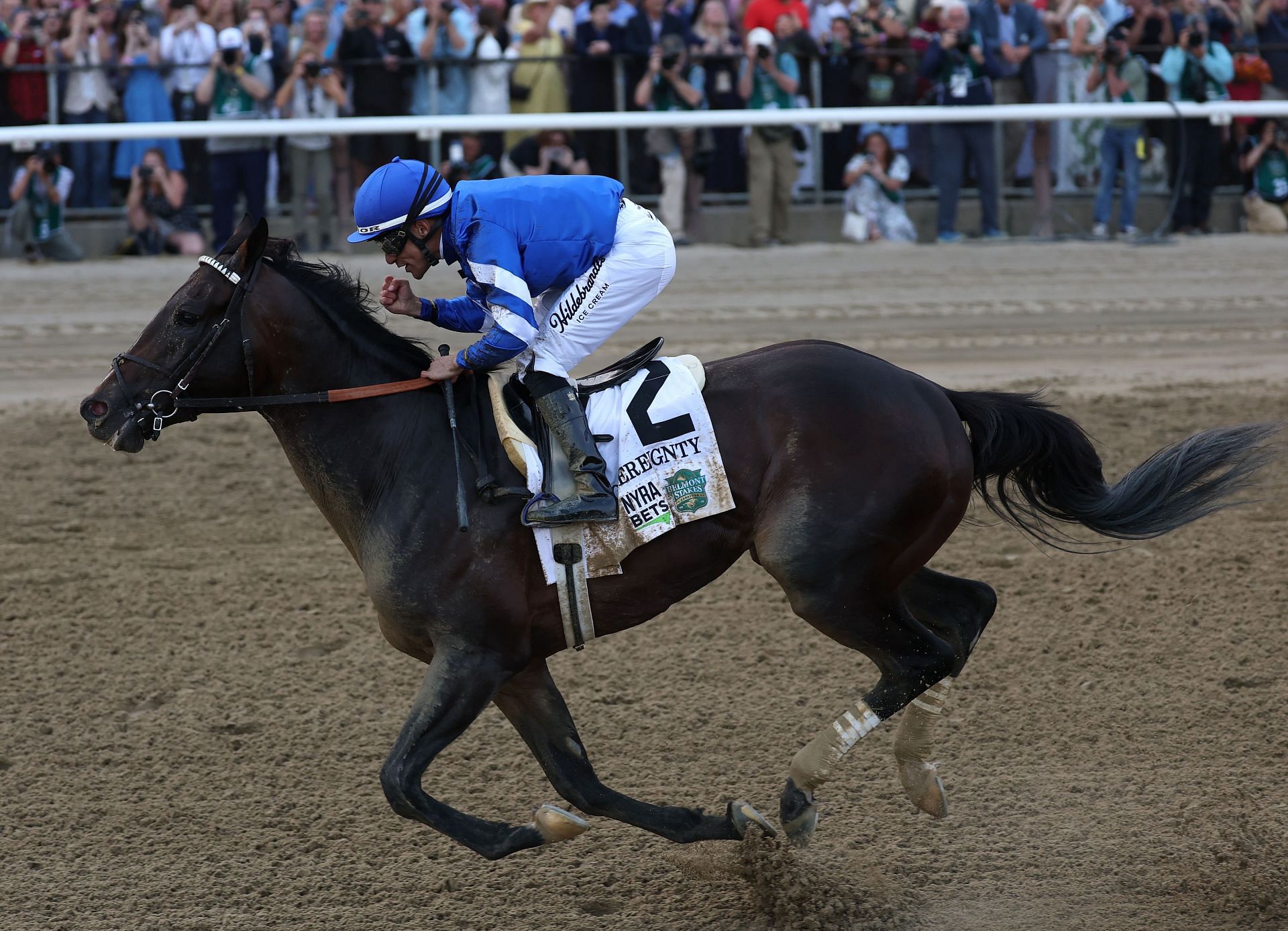 Sovereignty with Junior Alvarado up wins the 157th running at Saratoga Race Course in Saratoga Springs, New York. (Photo by Getty Images)